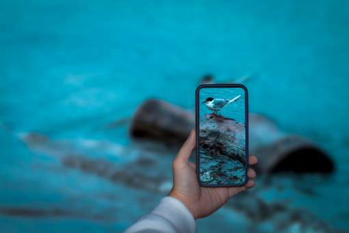 Fotografie – Smartphone workshop