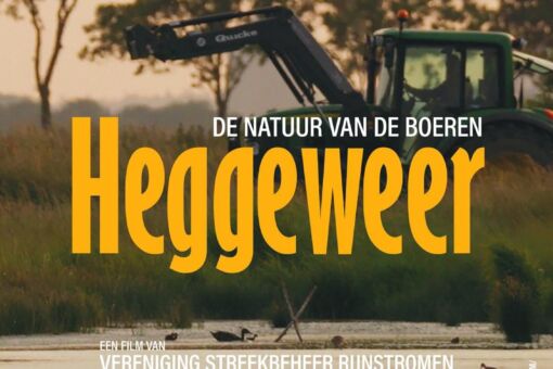 Agrarisch Natuurbeheer: filmvertoning ‘Heggeweer’