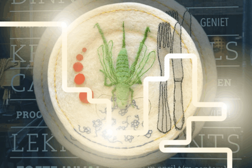 De smaak van nu en straks