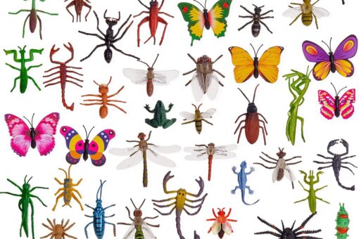 Voorleestijd & knutselen